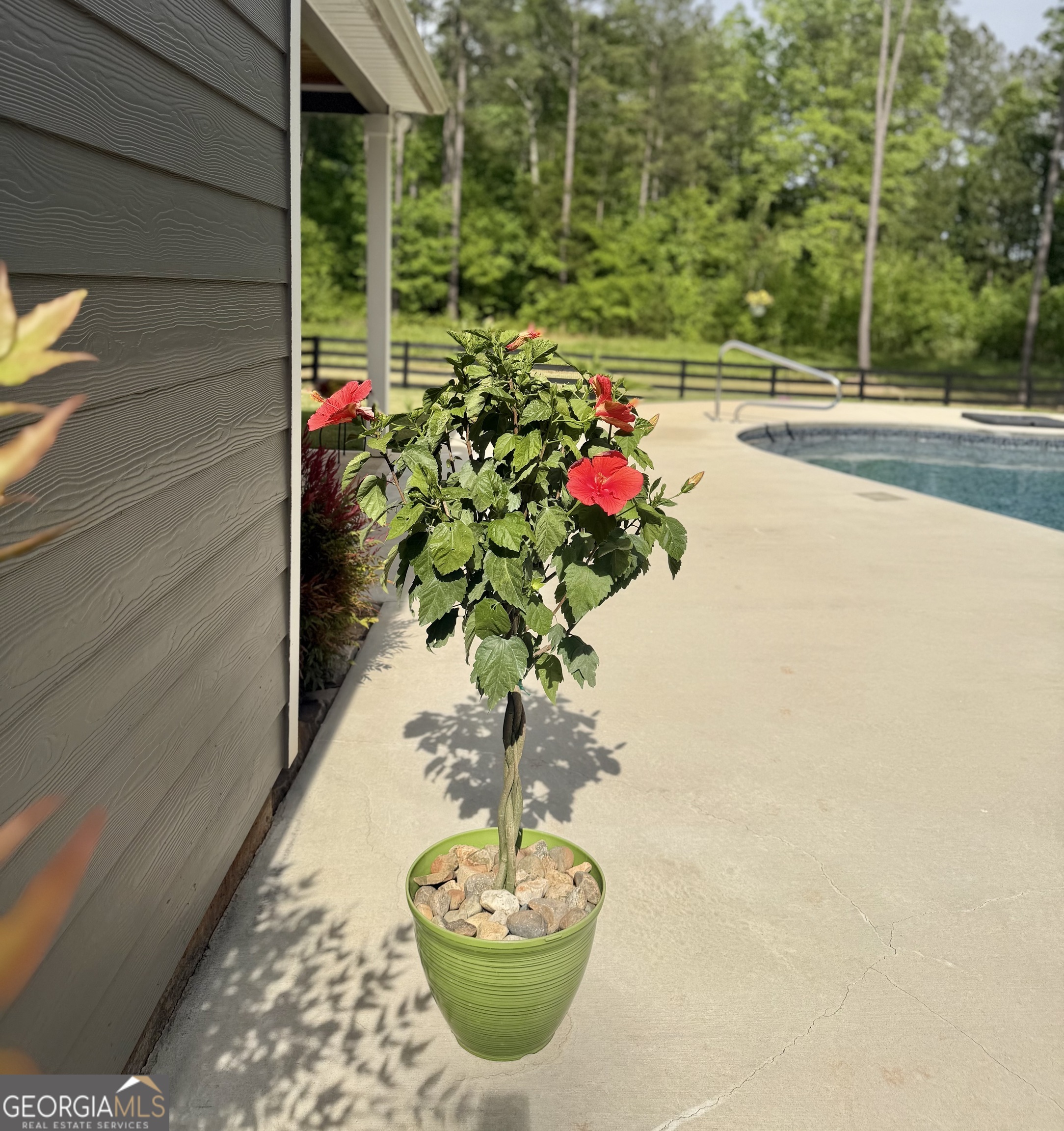 233 Springdale Estates Drive Senoia GA 30276