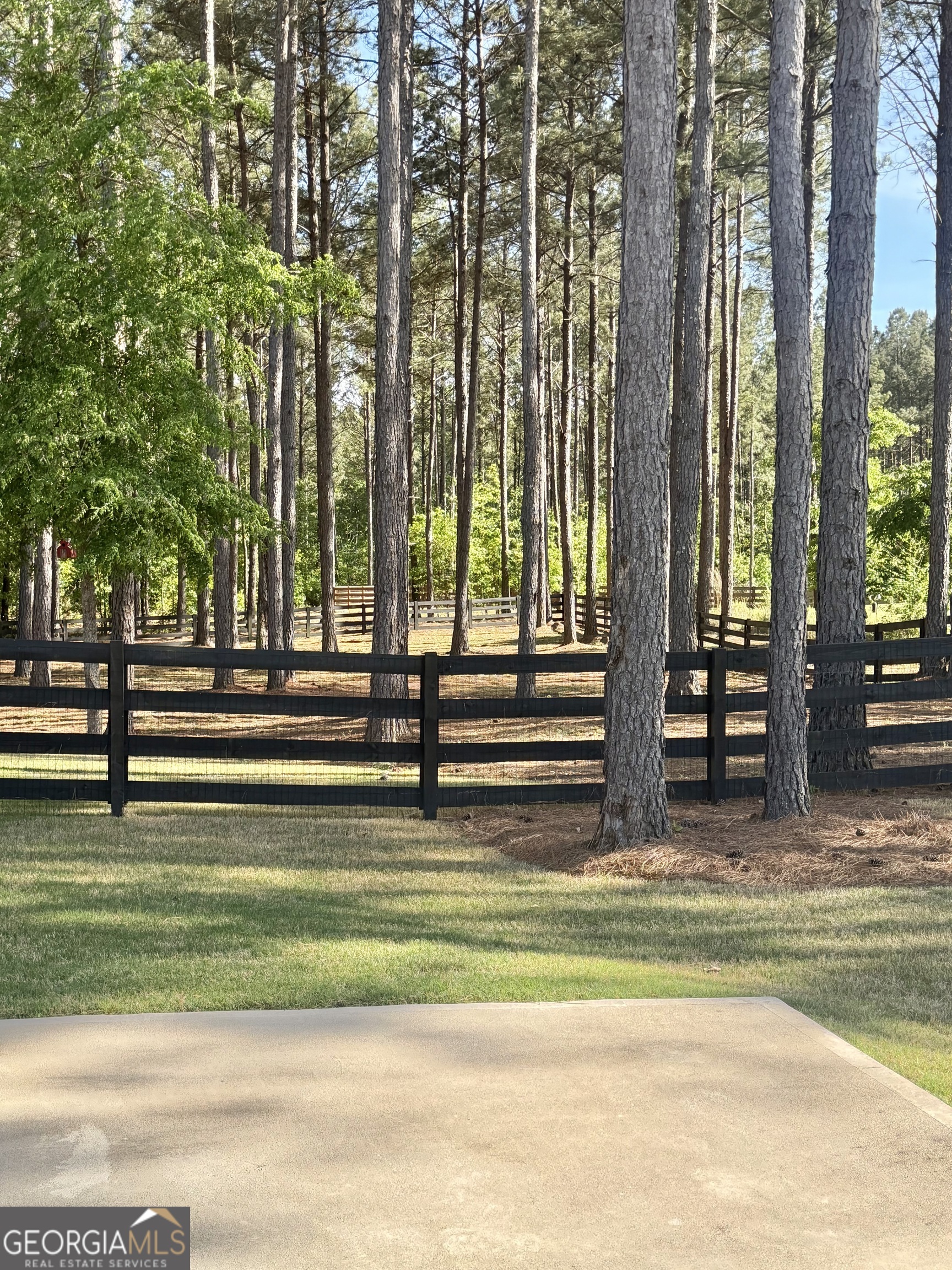 233 Springdale Estates Drive Senoia GA 30276