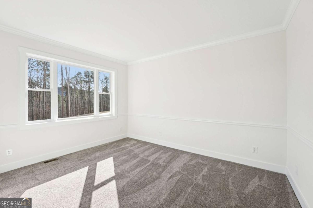 569 Byrd Mountain Lane Canton GA 30114