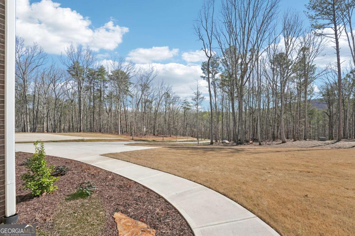 569 Byrd Mountain Lane Canton GA 30114