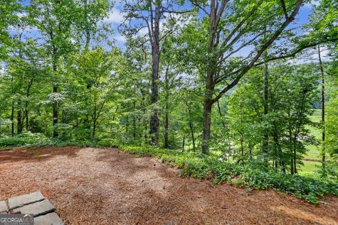 227 Shakespeare Drive Clayton GA 30525