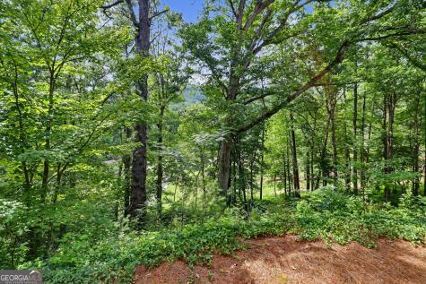 227 Shakespeare Drive Clayton GA 30525