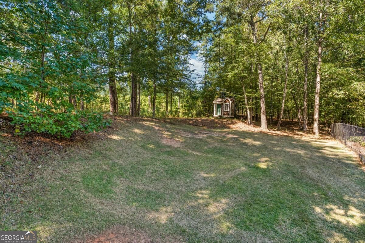 1254 Rocky Shoals Drive Midland GA 31820