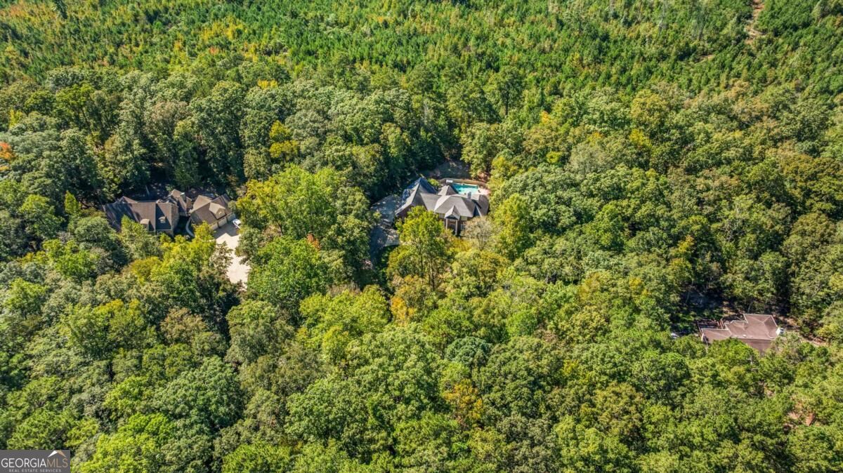 1254 Rocky Shoals Drive Midland GA 31820