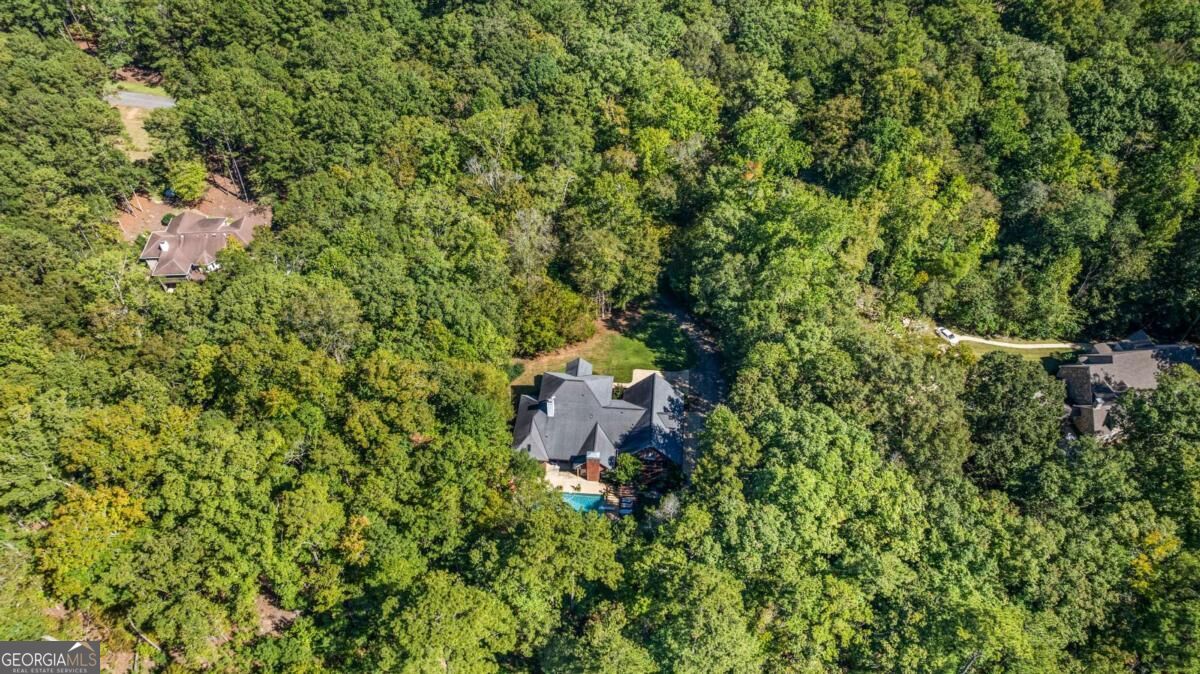 1254 Rocky Shoals Drive Midland GA 31820