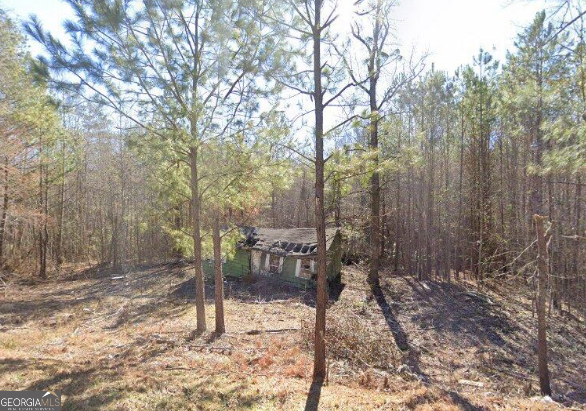 6204 Highway 72 E Carlton GA 30627