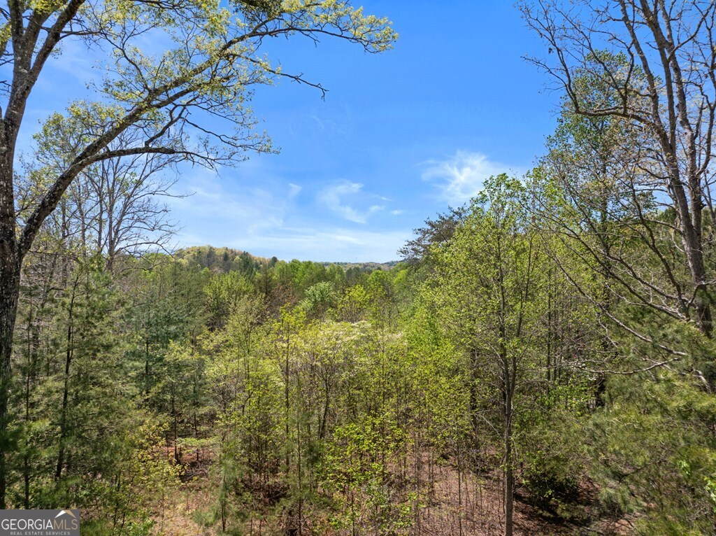 327 Dancing Trees Trail Morganton GA 30560