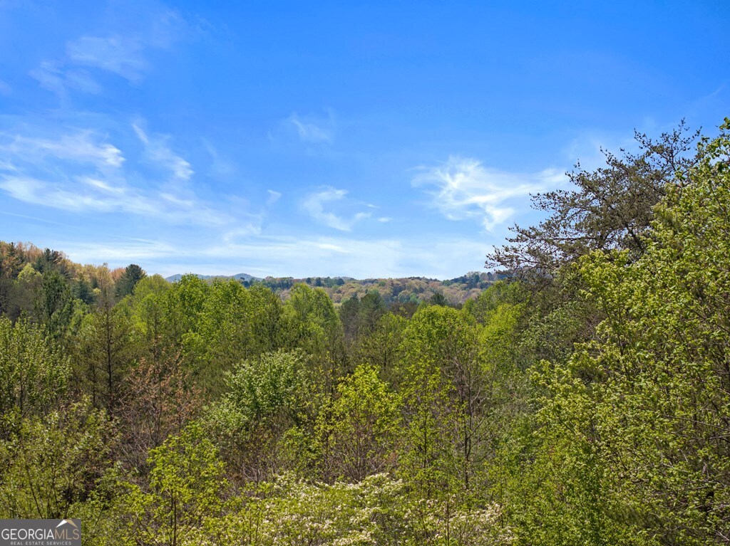 327 Dancing Trees Trail Morganton GA 30560