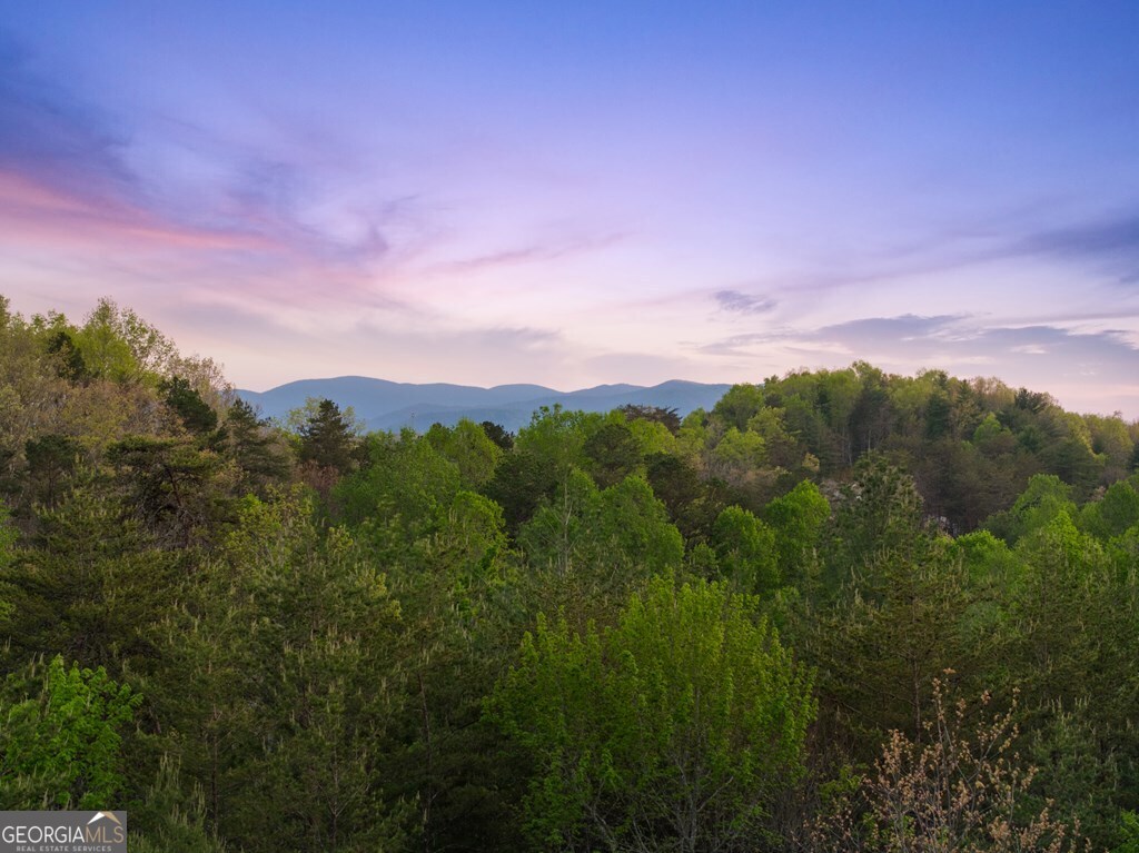 327 Dancing Trees Trail Morganton GA 30560