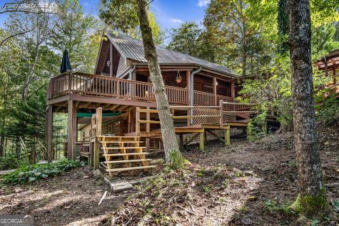 102 Frosty Mountain Road Mineral Bluff GA 30559