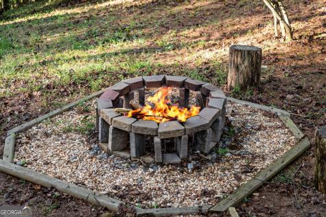 102 Frosty Mountain Road Mineral Bluff GA 30559