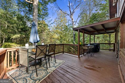 102 Frosty Mountain Road Mineral Bluff GA 30559