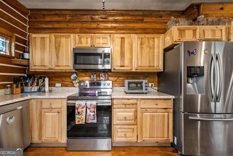 102 Frosty Mountain Road Mineral Bluff GA 30559