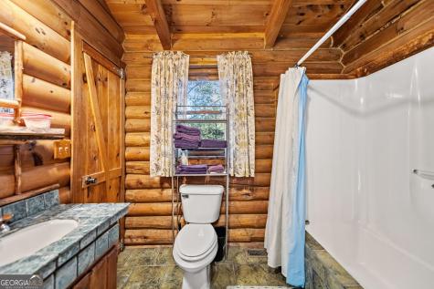 102 Frosty Mountain Road Mineral Bluff GA 30559