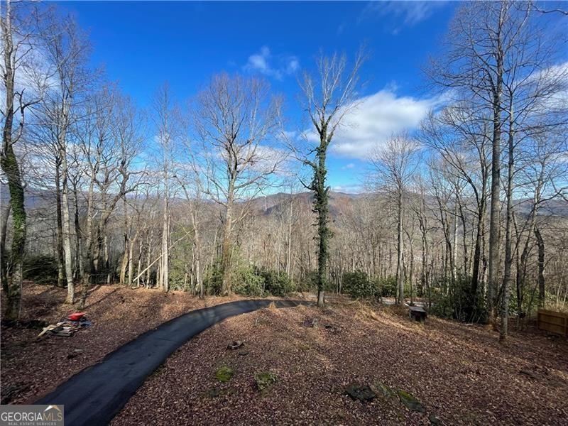 574 Bachelors Button Drive Clayton GA 30525