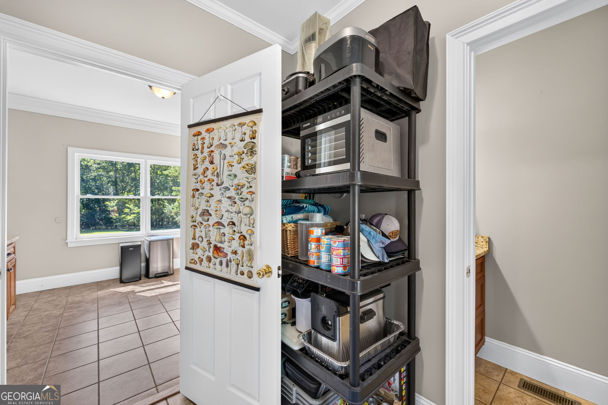 5705 Gordon Road Senoia GA 30276