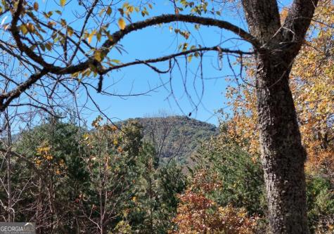 154 Kiloran Way Blairsville GA 30512