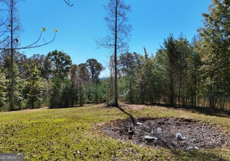 154 Kiloran Way Blairsville GA 30512