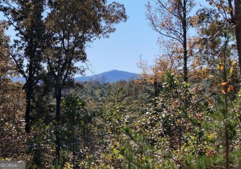 154 Kiloran Way Blairsville GA 30512