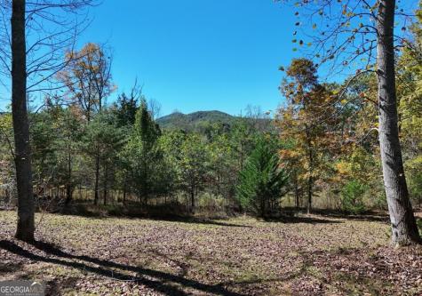 154 Kiloran Way Blairsville GA 30512