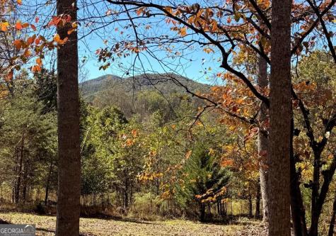 154 Kiloran Way Blairsville GA 30512