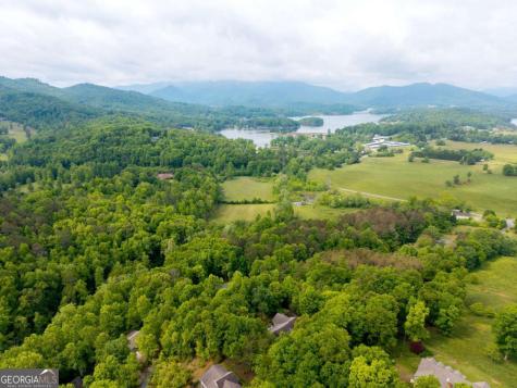 1894 Bell Eagle Drive Hiawassee GA 30546