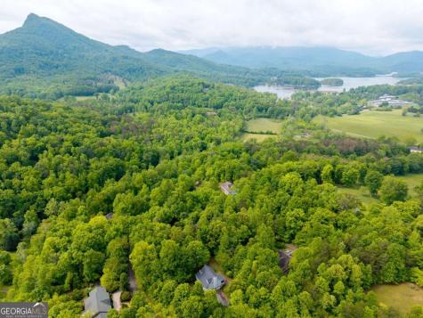 1894 Bell Eagle Drive Hiawassee GA 30546