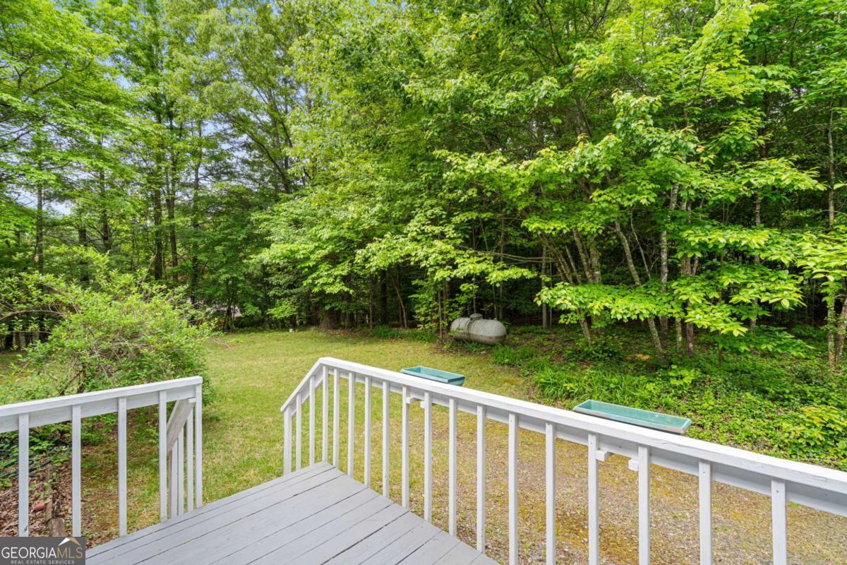 1894 Bell Eagle Drive Hiawassee GA 30546