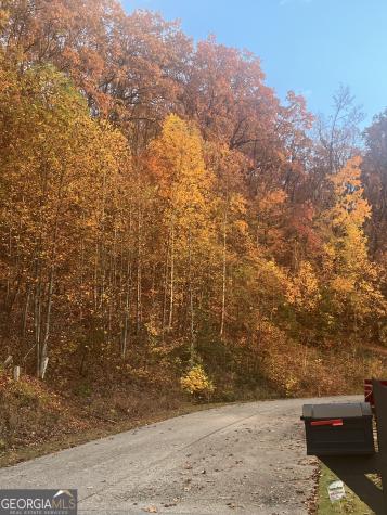 685 Long Mountain Trail Cleveland GA 30528