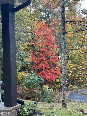 685 Long Mountain Trail Cleveland GA 30528