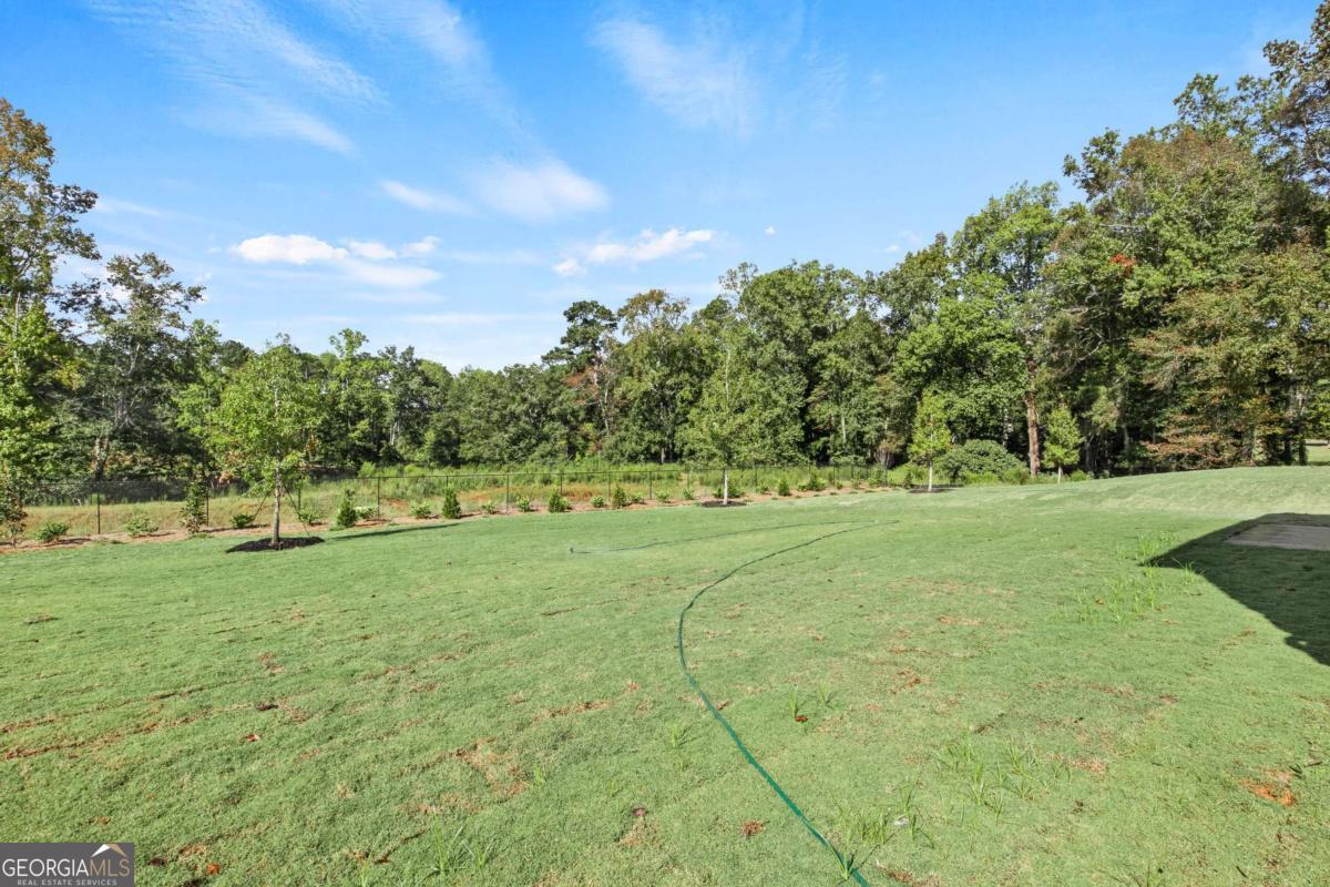 230 Kindness Circle Mcdonough GA 30252