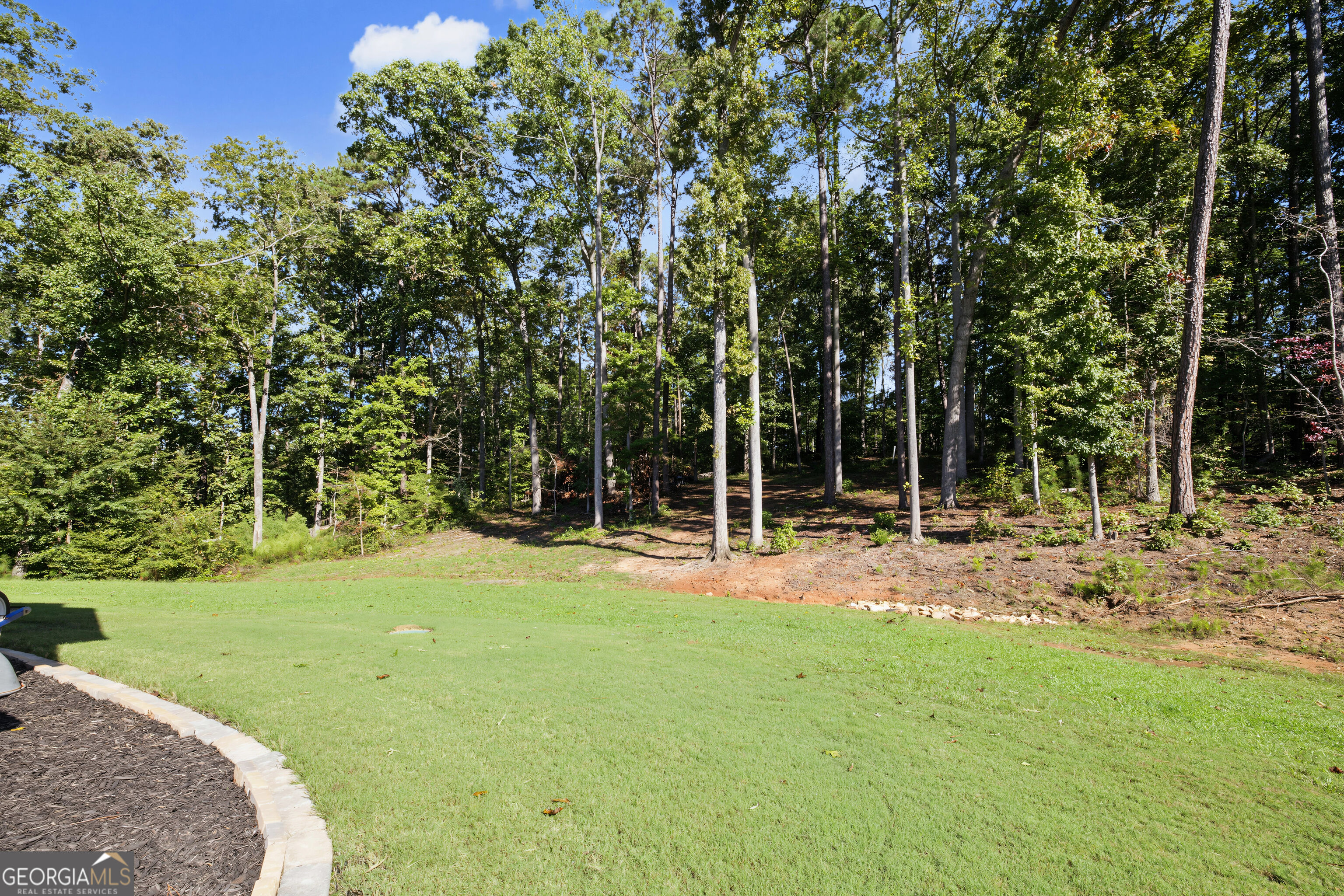 97 Brinley Drive Sharpsburg GA 30277
