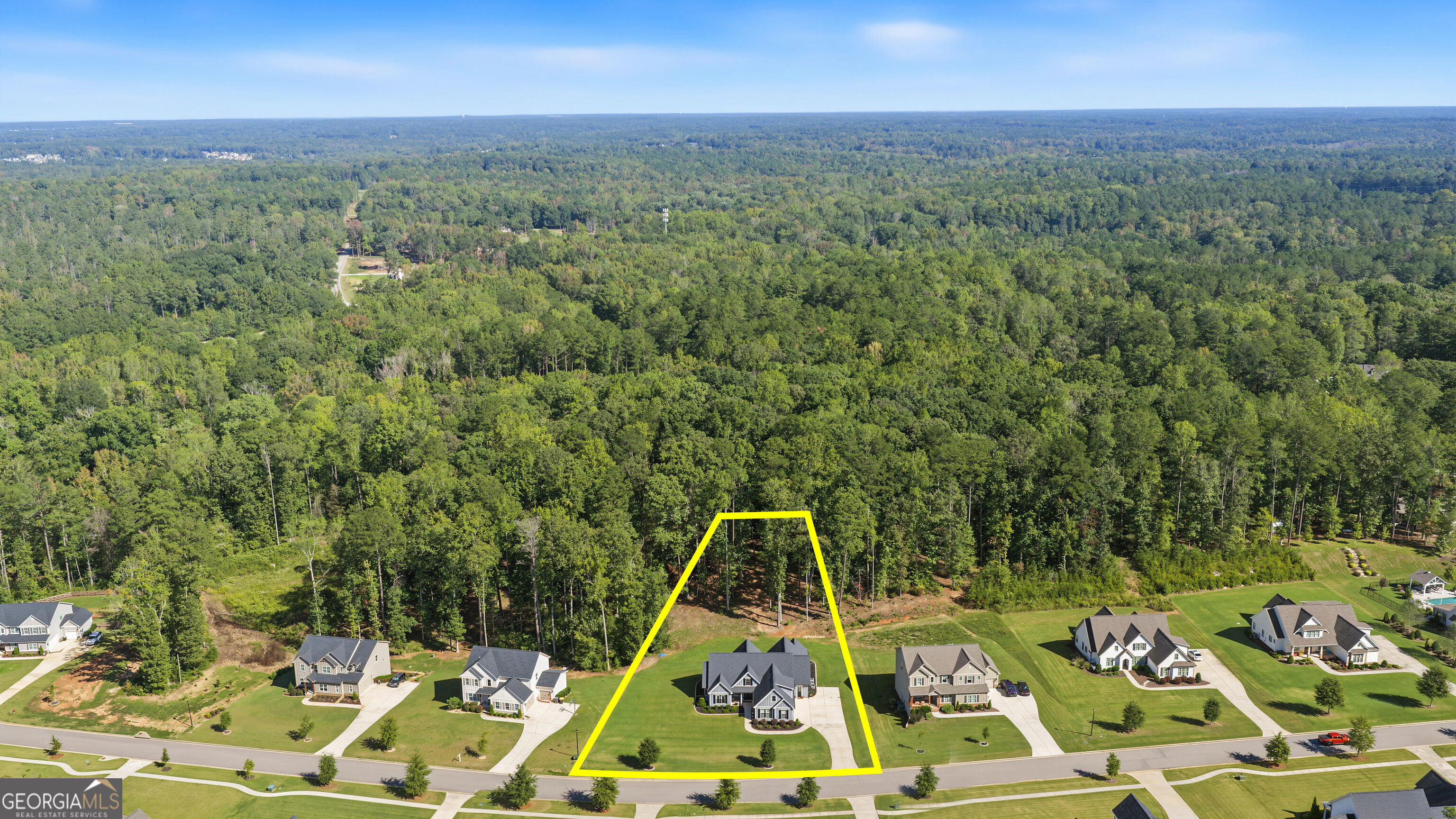 97 Brinley Drive Sharpsburg GA 30277