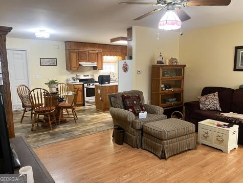 153 View Street Clarkesville GA 30523