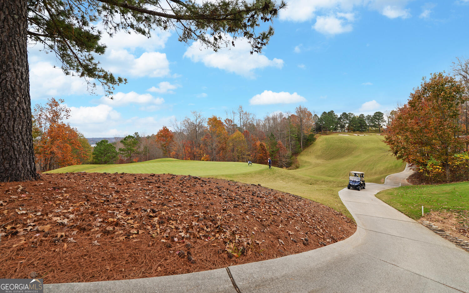 29 Cottage Lane Toccoa GA 30577