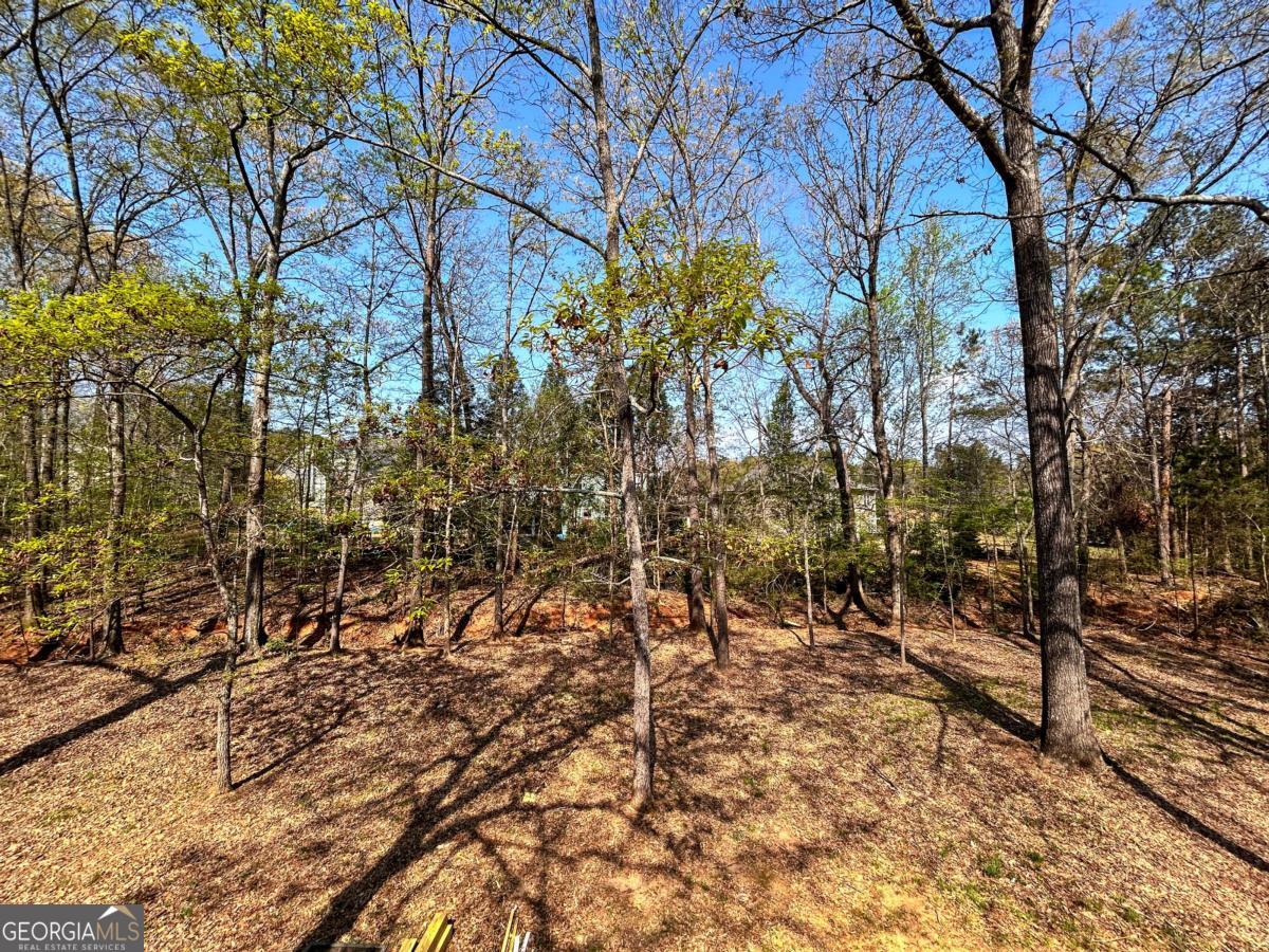 160 Kirkwood Drive Athens GA 30606