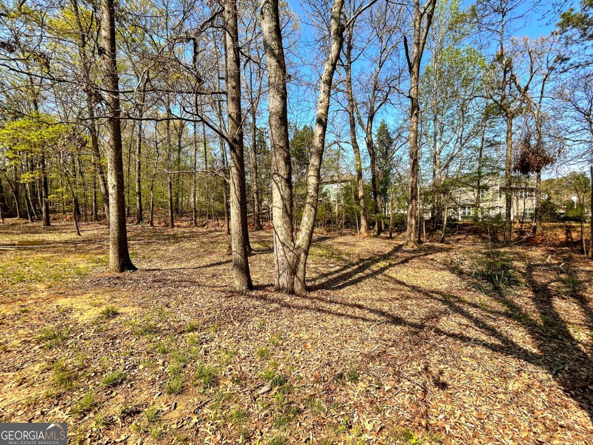 160 Kirkwood Drive Athens GA 30606