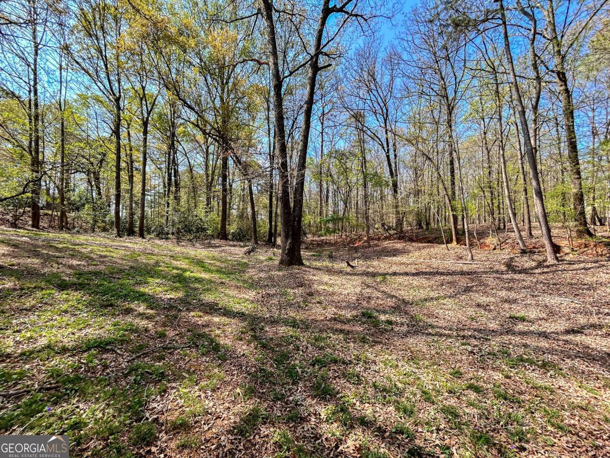 160 Kirkwood Drive Athens GA 30606