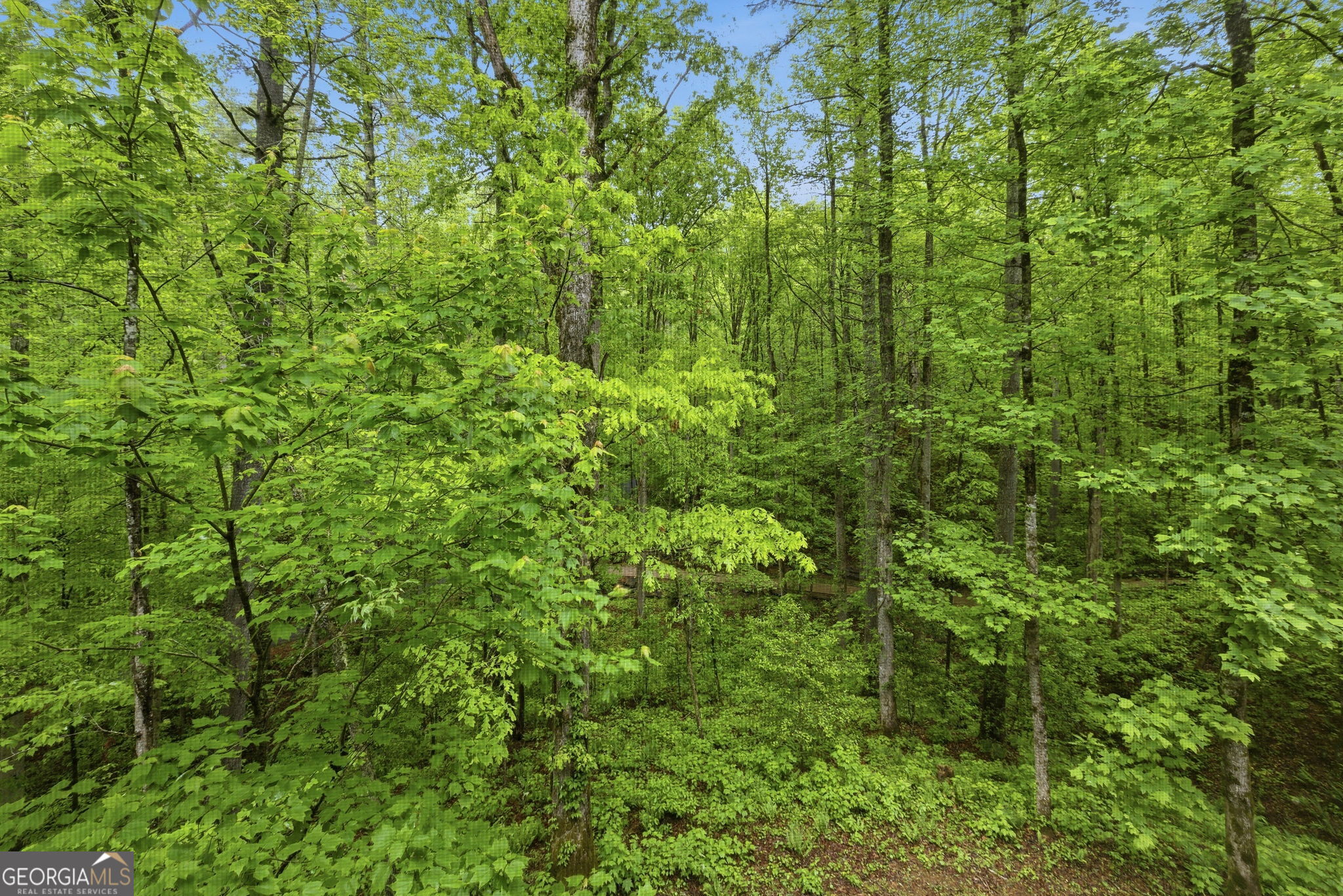 634 Little Hawk Road Sautee Nacoochee GA 30571
