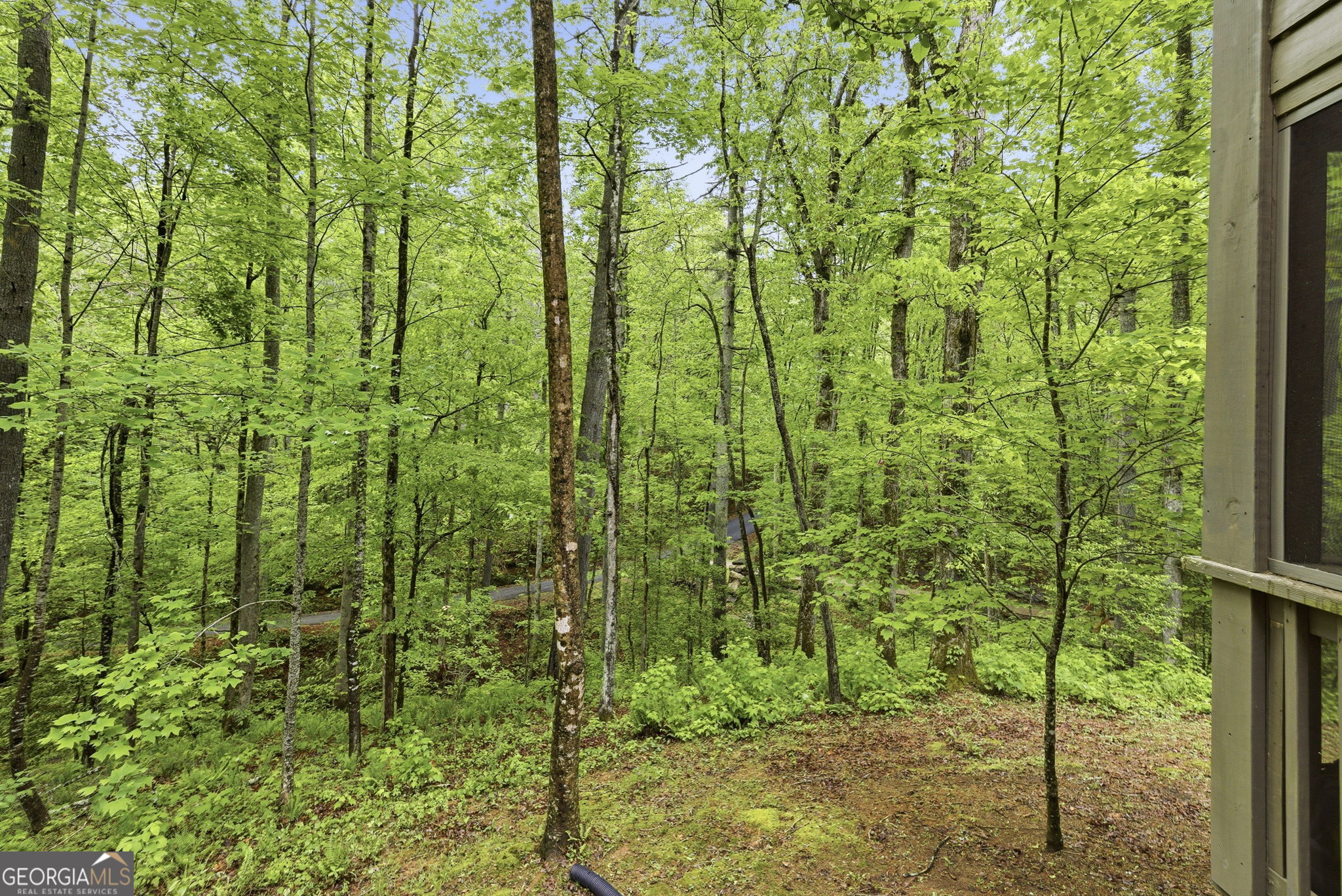 634 Little Hawk Road Sautee Nacoochee GA 30571