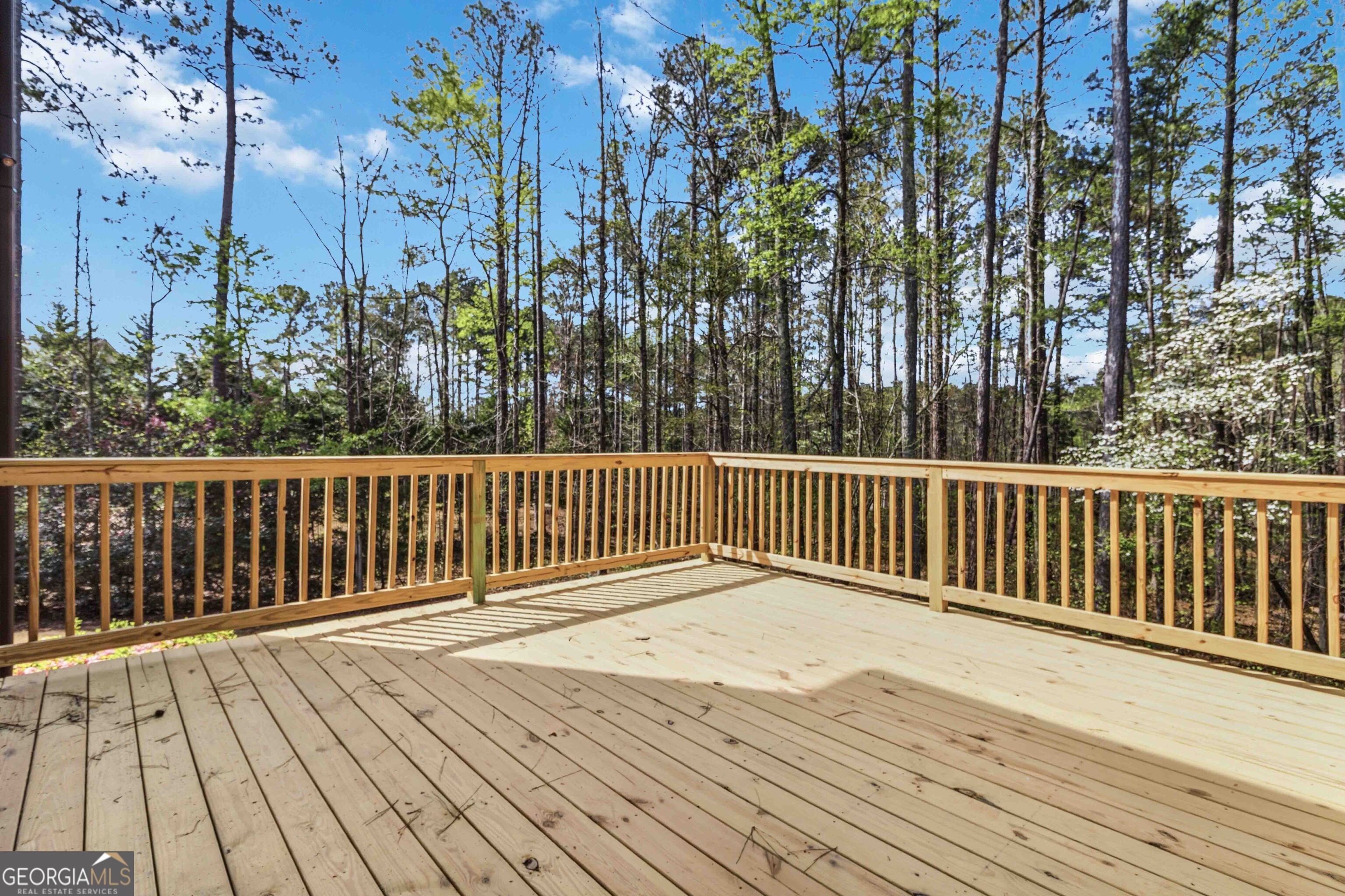 2704 Ivy Circle Conyers GA 30013