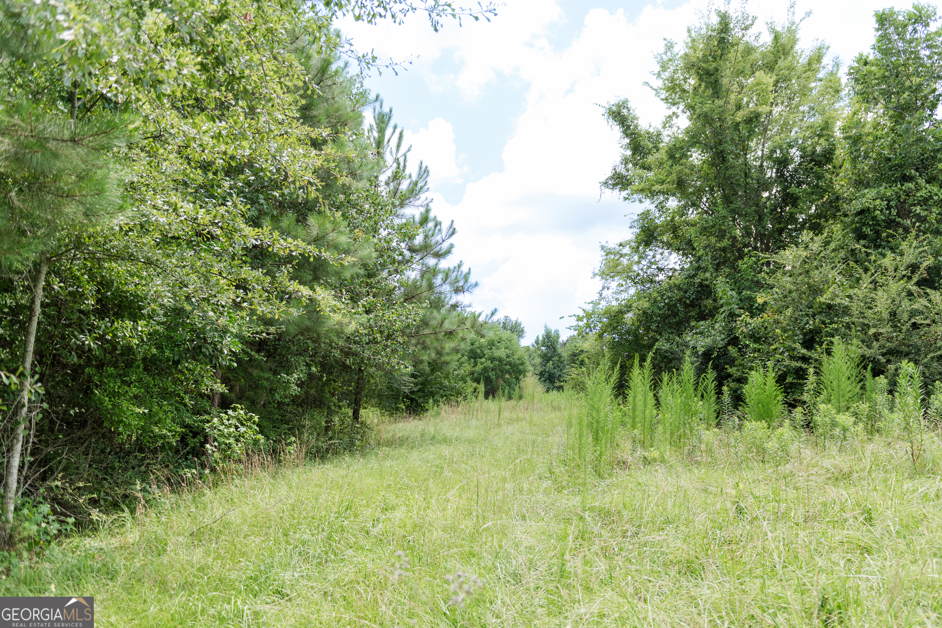 348 Americus Highway Butler GA 31006