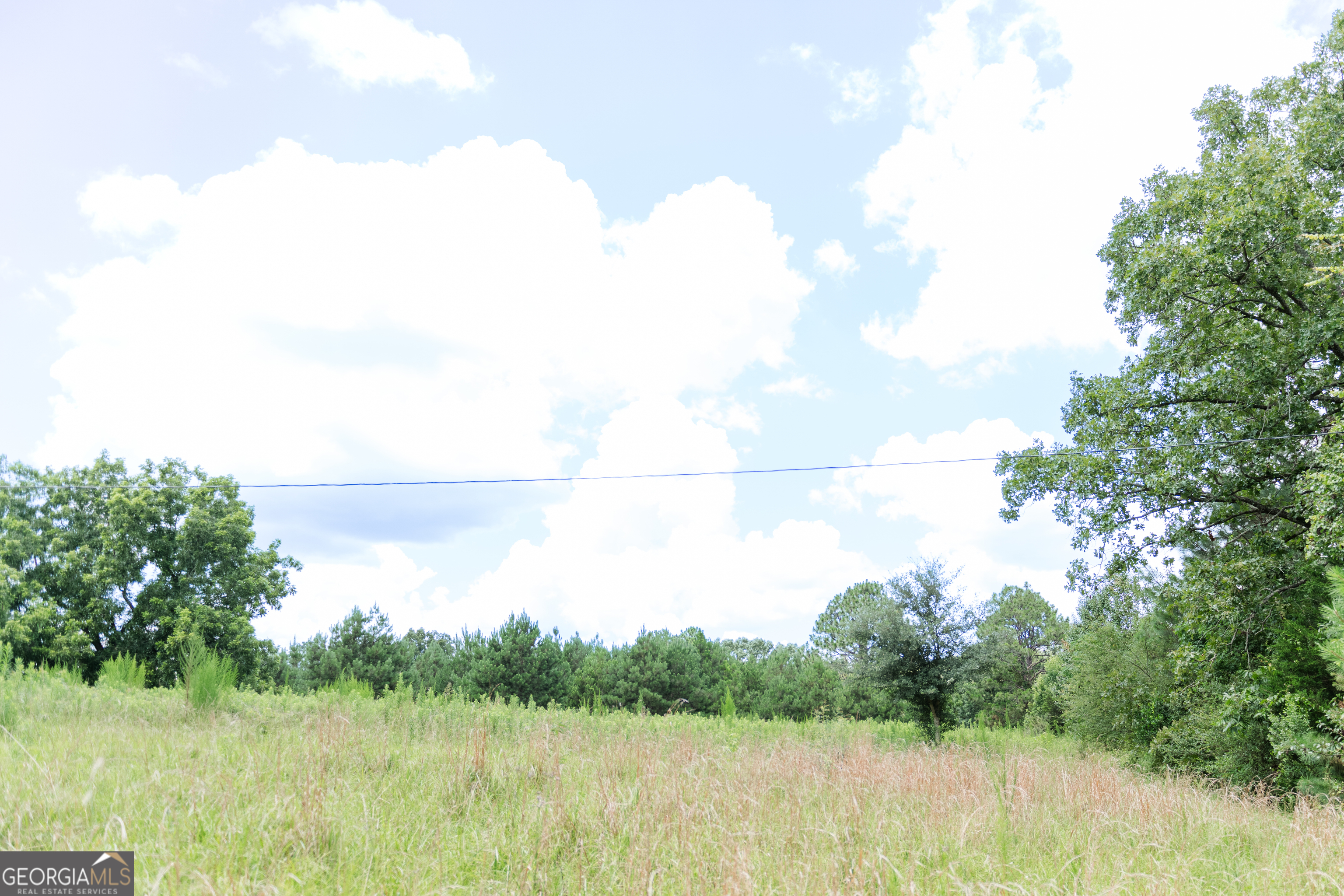 348 Americus Highway Butler GA 31006