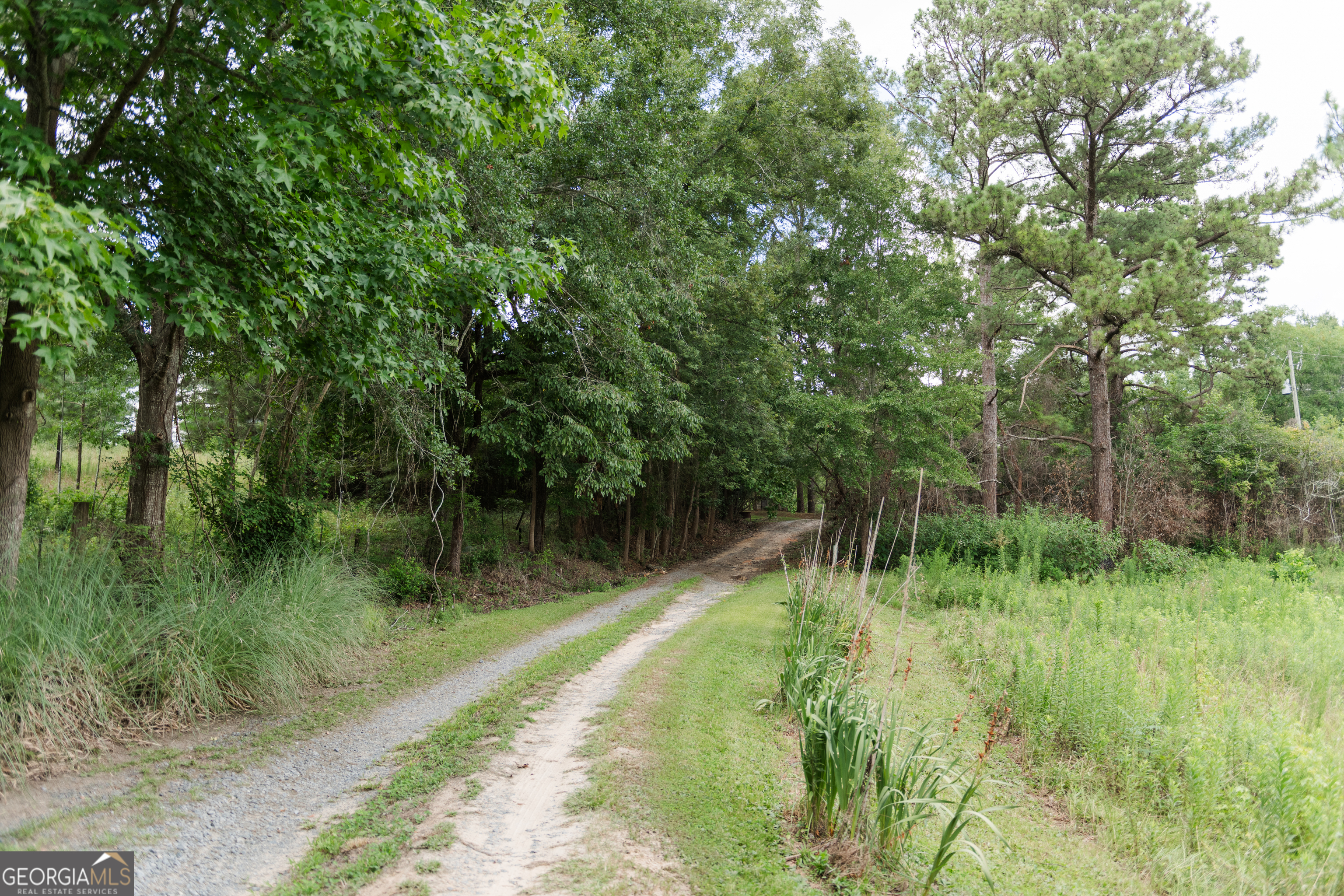 348 Americus Highway Butler GA 31006