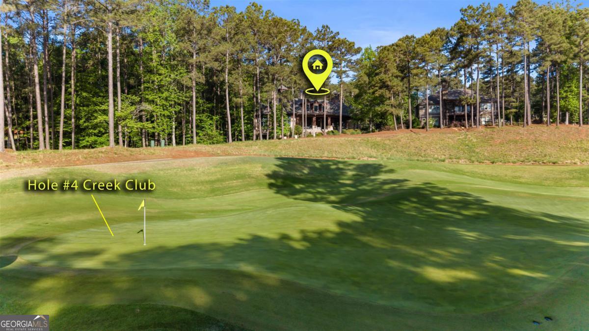 1090 Spring Creek Greensboro GA 30642
