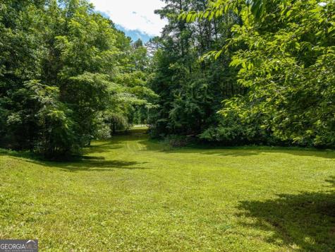 1824 Colwell Road Blue Ridge GA 30513