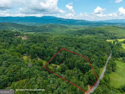 1824 Colwell Road Blue Ridge GA 30513