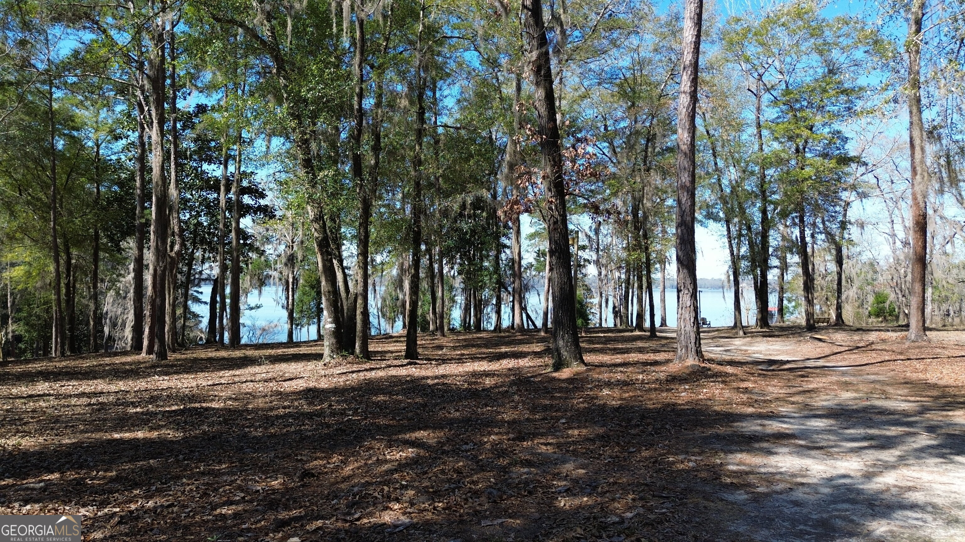 96 Cotton Cove Drum Georgetown GA 39854