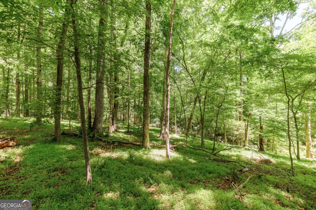 145 Pendleton Drive Athens GA 30606