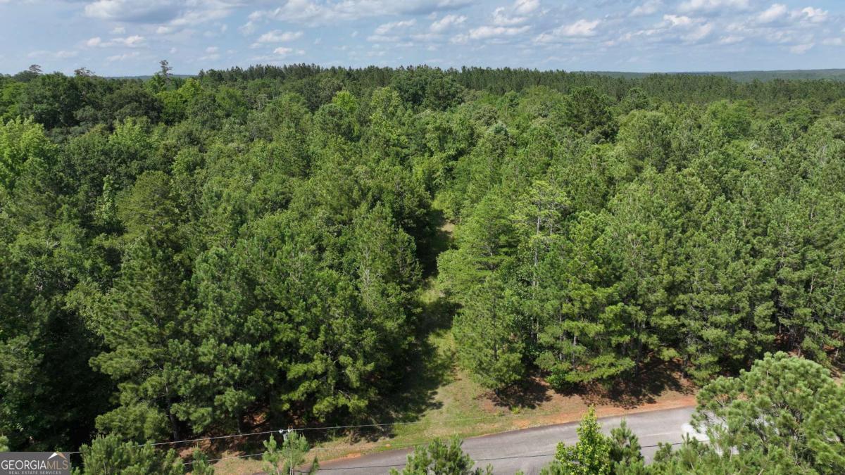39b Omaha Drive Elberton GA 30635